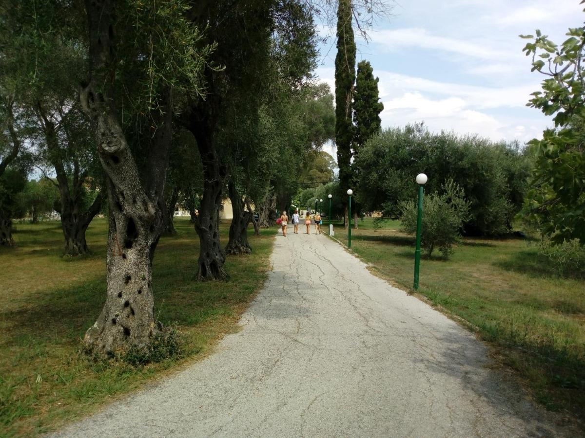 Oliveland Kávos